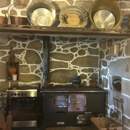 Oliveira Frades Farm